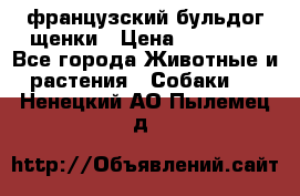 французский бульдог щенки › Цена ­ 50 000 - Все города Животные и растения » Собаки   . Ненецкий АО,Пылемец д.